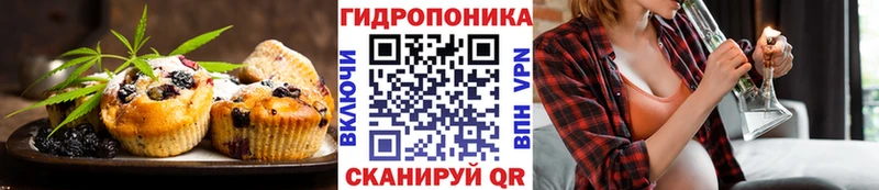 наркота Дудинка shop формула Canna-Cookies марихуана