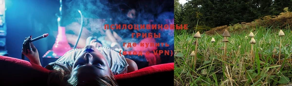 крисы Алексеевка