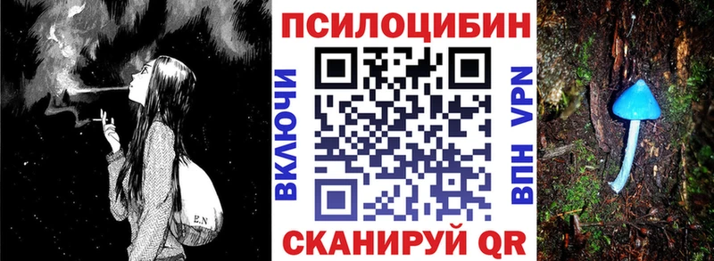 Псилоцибиновые грибы Psilocybine cubensis  OMG маркетплейс  Дудинка 